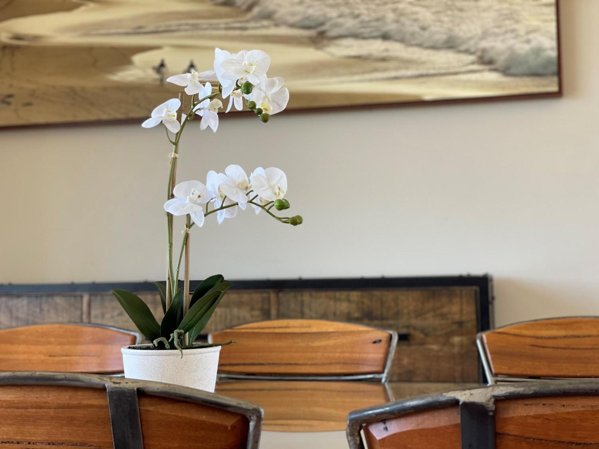 Barwon Heads Resort Phòng bức ảnh